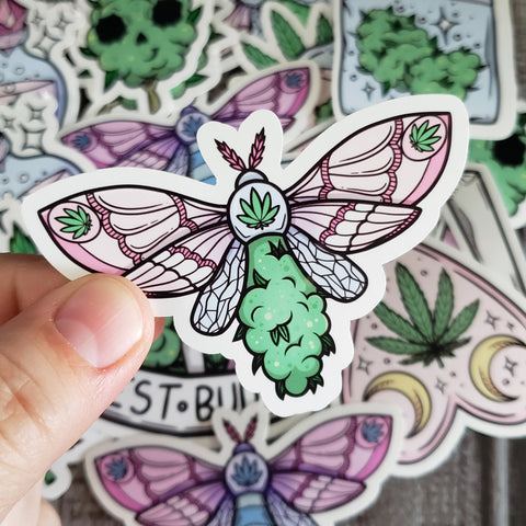 Bud Moth Sticker